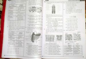 Allen Biology At a Glance &amp; NCR - NEET-UG