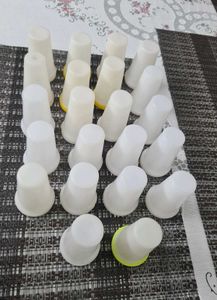 Plastic Kulfi Moulds with Cover