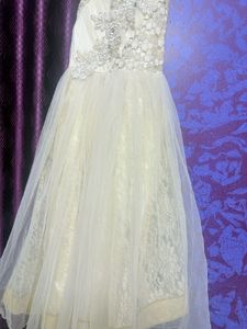 Elegant Ethnic Gown