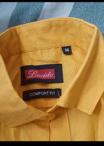Gold Cotton Blend Shirt New One.