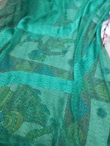 Chiffon Saree With Blouse Green