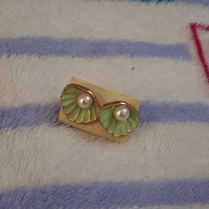 Shell Earring Studs🐚