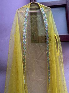 Beautiful Choli And Plazo With Shrug