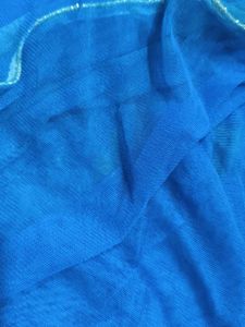 Blue Chunni