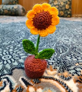 Chrocheted Flower Pot
