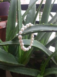 Trending New Pearl Earrings And Bracelet