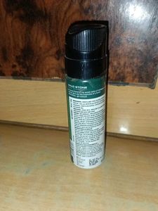 Wild Stone Forest Spice Deodorant