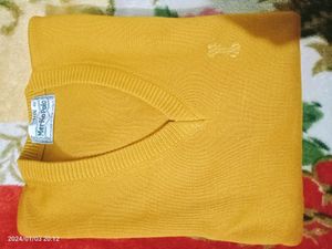 Mans Sweater