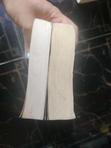 2 Indu Sundaresan Books