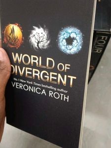 The Divergent Series