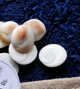 Original Lakshmi Gomati Chakra 21 Pcs Pujan Stones