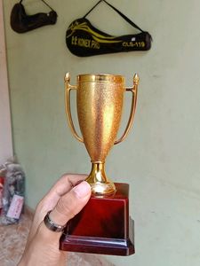 Cup Trophy Suitable For All Sports