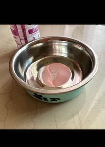 Small &amp; Large Meal Bowls For Pets