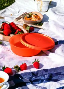 Tupperware Girls Day Out Lunch Set