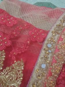 Half Net Sadi With Blause