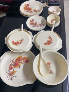 20Pcs Melamine Floral Dinner Set