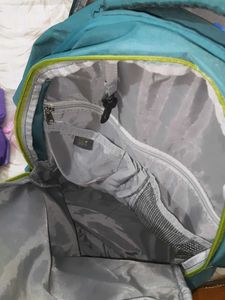 Skybags Backpack