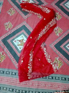 Elegant Red Ethnic Gown