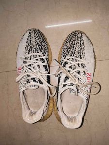 Adidas Yezzy 350 Zebra