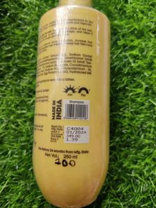 Lensta Eggstreme Shampoo