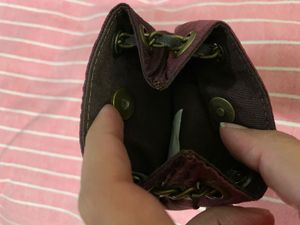Baggit Small Bag