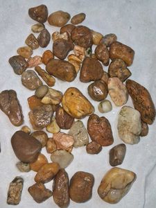 Decorative River Rocks