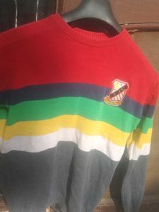 Striped Multicolor Knit Sweater