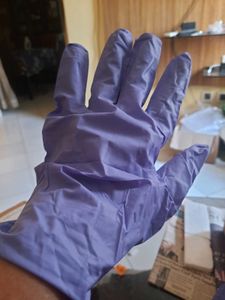 Zwpham Hand Gloves Non Powdered