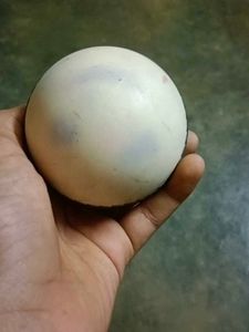 Used Cricket Ball