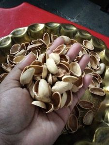 Pista Shells For Decoration