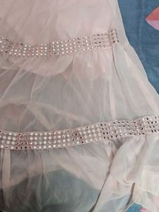 Elegant Ethnic Gown