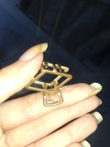 2 earings with a free mini golden clip