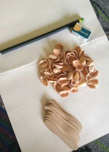 Combo Of Icecream Sticks,Pistashell,Pencil