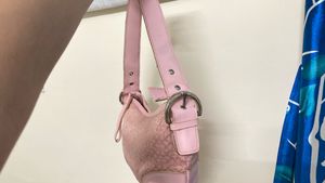 coach pink hobo bag