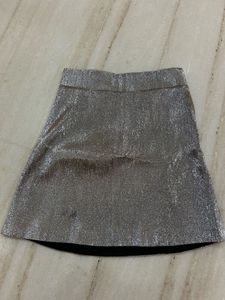 Sparkly Mini Skirt