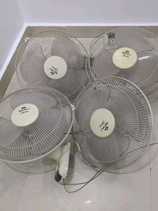Wall Mount Fans