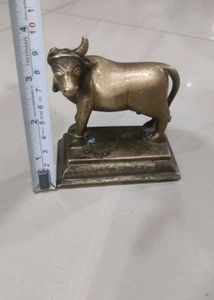 Brass Cow 🐄  One Horn Broken