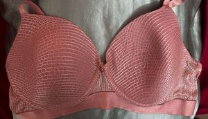 Zivame Padded Bra