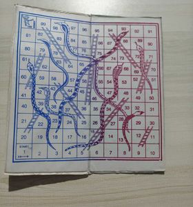 Ludo & Snake Ladder Combo Board Game