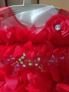 Brand New Party Flared Frock (12-18 Months)