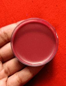 Handmade Lip Balm