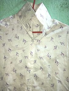 Combo Of 2 Cotton Shirt