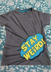 Zudio Fitted Tee – Simple, Sleek, &amp; Up for Grabs