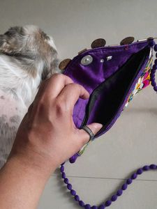Embroidered Coin Detail Shoulder Bag