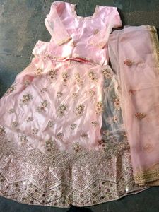Elegant Pink Lehenga Choli Set