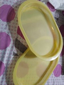 Tupperware Tray 📤