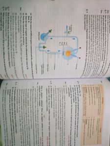 Class12 Biology Xamidea Study Guide