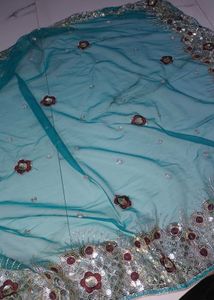 Whole Saree Set! Vintage Green! Sparkly Sequence