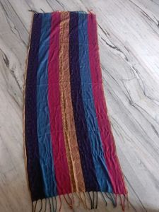 Striped Multicolor Scarf