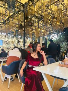 Velvet Designer Dress
